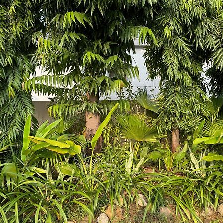The Bougainvillea Cottage Farmstay Near Dehradun , 2 Bedroom Private Cottage Next To Fields And Orchards With Hill Views מראה חיצוני תמונה
