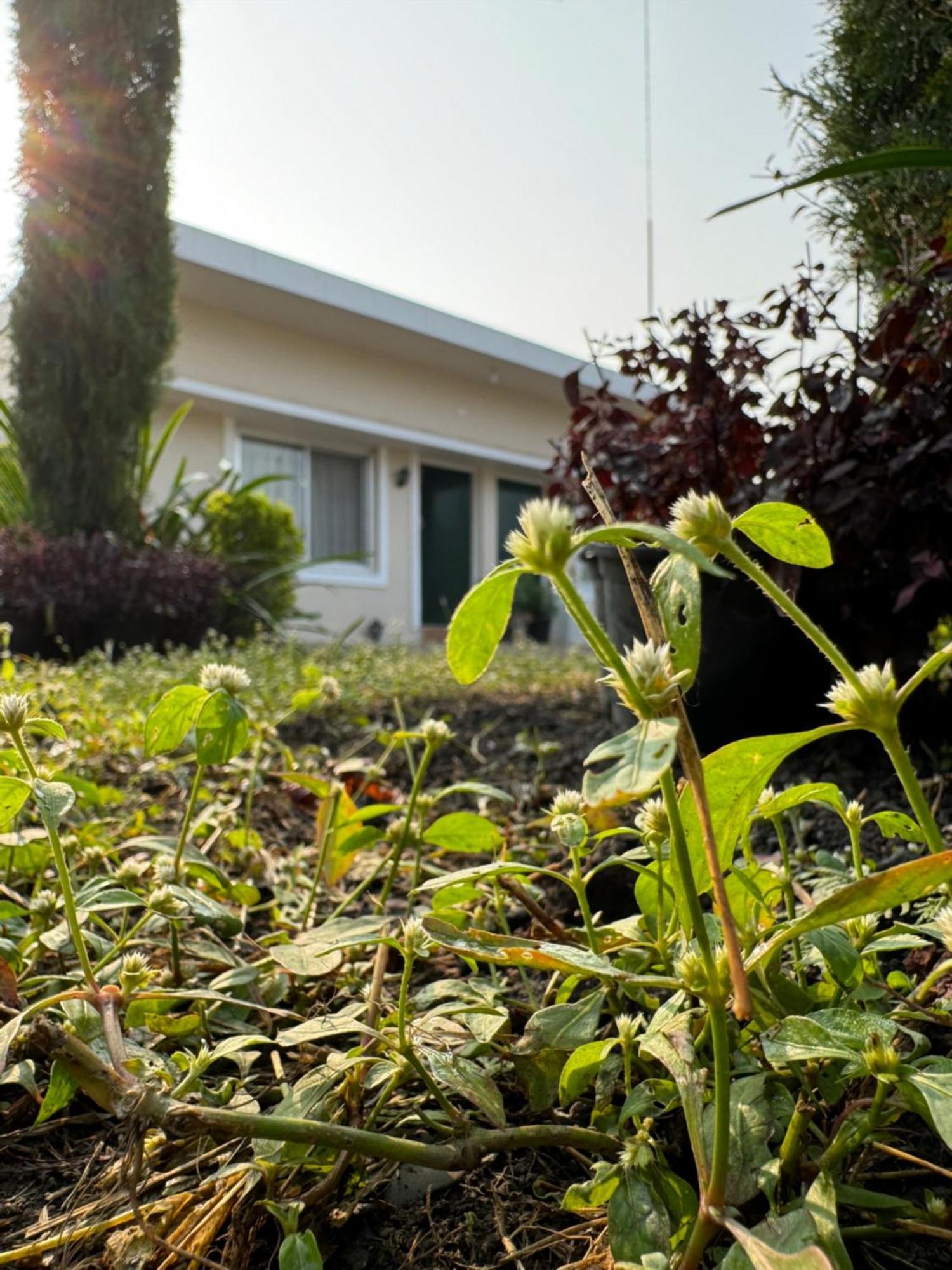 The Bougainvillea Cottage Farmstay Near Dehradun , 2 Bedroom Private Cottage Next To Fields And Orchards With Hill Views מראה חיצוני תמונה