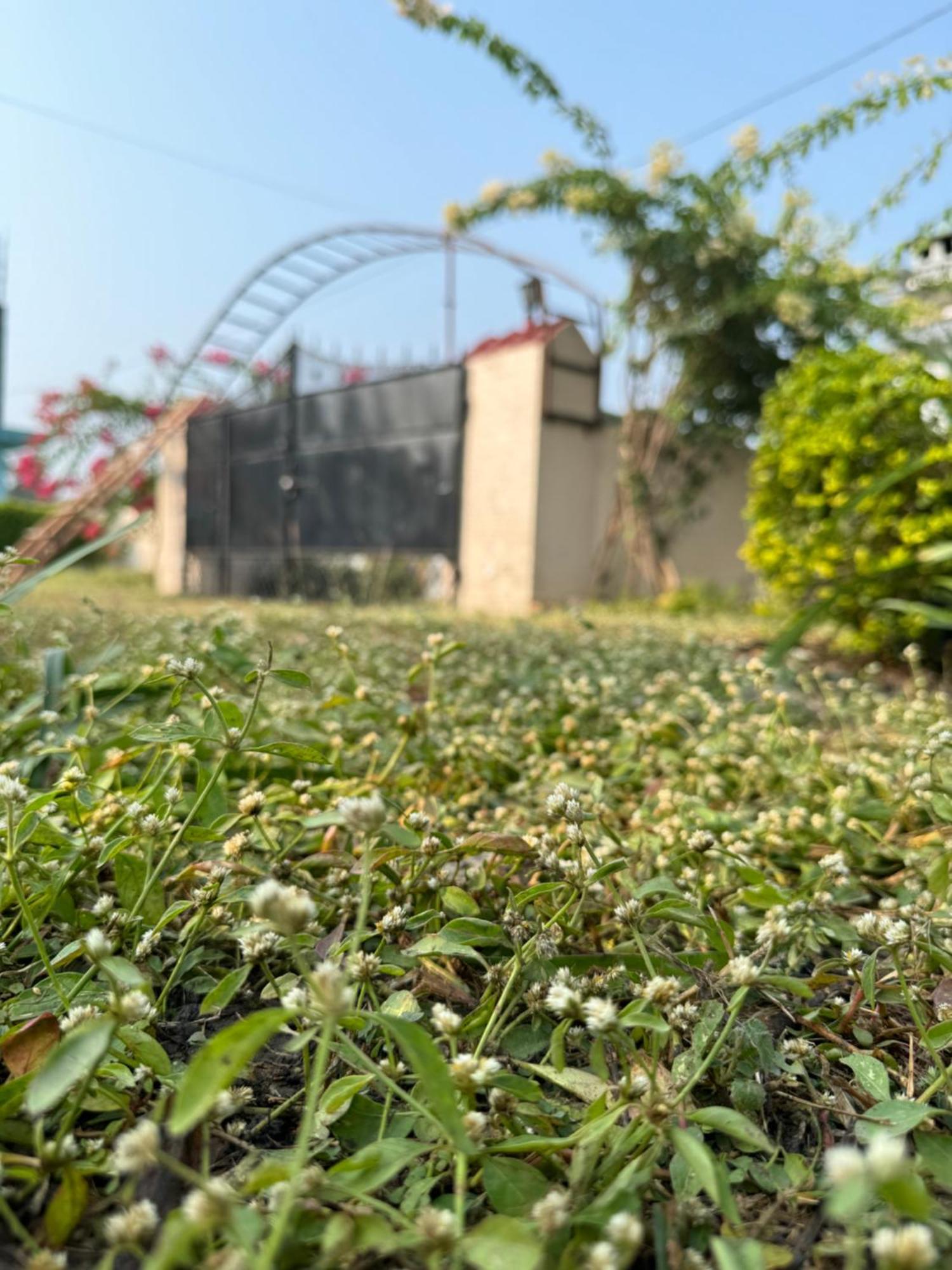 The Bougainvillea Cottage Farmstay Near Dehradun , 2 Bedroom Private Cottage Next To Fields And Orchards With Hill Views מראה חיצוני תמונה